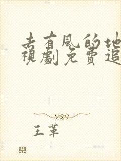 去有风的地方电视剧免费追剧网