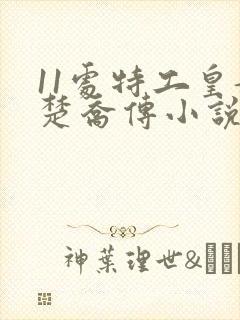 11处特工皇妃楚乔传小说