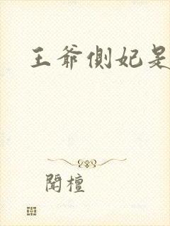 王爷侧妃是妾吗