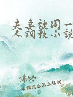 夫妻被同一个主人调教小说