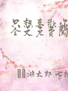 只想喜欢你小说全文免费阅读