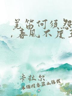 羌笛何须怨杨柳, 春风不度玉门关.