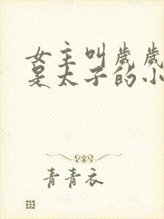 女主叫岁岁男主是太子的小说