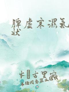 脾虚寒湿气重症状