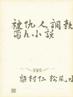 被仇人调教成禁脔h小说