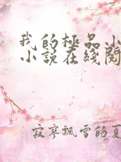 我的极品小姨 小说在线阅读