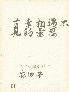 有幸相遇不负遇见的意思