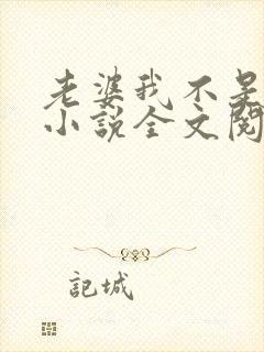 老婆我不是傻子小说全文阅读