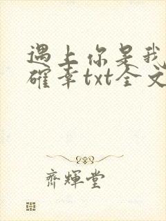 遇上你是我的小确幸txt全文下载