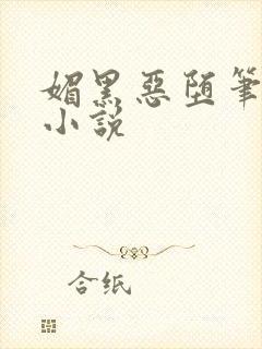 媚黑恶堕笔趣阁小说