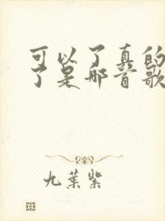 可以了真的可以了是哪首歌的歌词