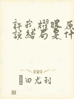 许我耀眼原著小说结局是什么