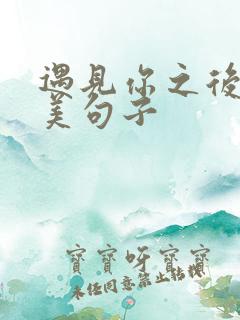 遇见你之后的唯美句子