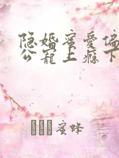 隐婚蜜爱偏执老公宠上瘾下载