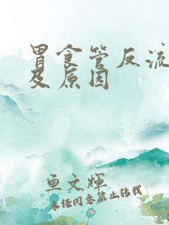 胃食管反流症状及原因