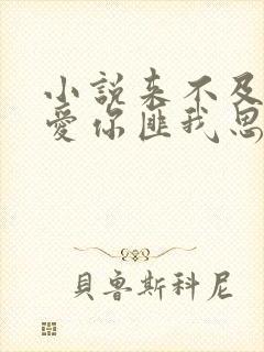 小说来不及说我爱你匪我思存