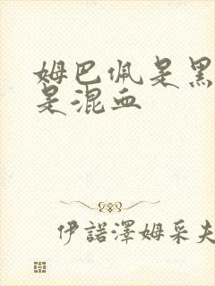 姆巴佩是黑人还是混血