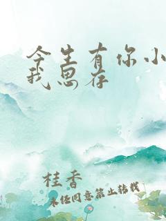 今生有你小说匪我思存