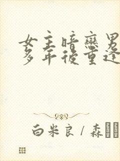 女主暗恋男主很多年后重逢