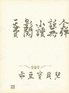 天影小说全文免费阅读无弹窗