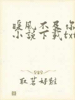 暖风不及你情深小说下载txt