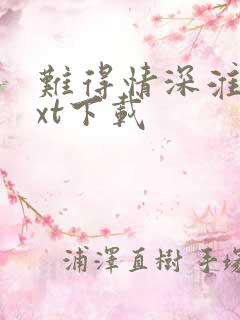 难得情深淮上txt下载