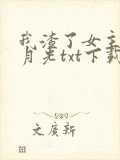 我渣了女主的白月光txt下载
