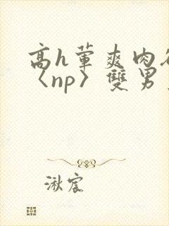 高h荤爽肉欲文〈np〉双男主