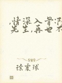 ,情深入骨:陆先生,再也不见