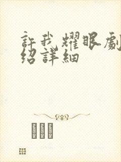 许我耀眼剧情介绍详细