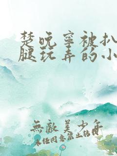 楚晚宁被扒开双腿玩弄的小说