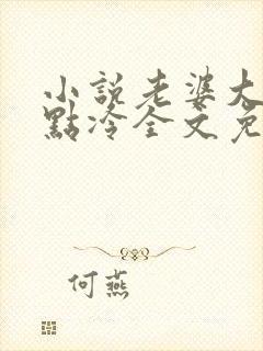 小说老婆大人有点冷全文免费阅读