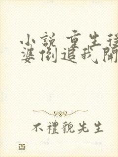 小说 重生从老婆倒追我开始