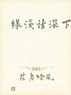 缘浅情深下一句