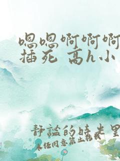 嗯嗯啊啊啊啊 插死 高h小说
