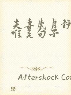 夫妻岁月静好的唯美句子