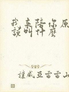 我来陪你原著小说叫什么