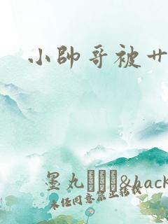 小帅哥被艹小说