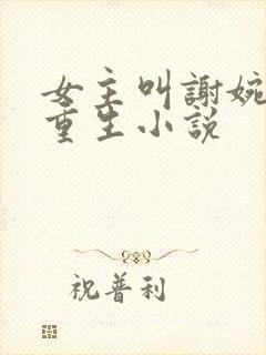 女主叫谢婉宁的重生小说