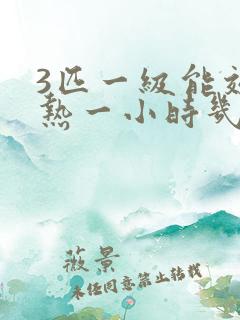 3匹一级能效制热一小时几度电