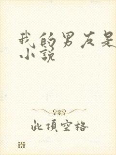 我的男友是伪娘小说