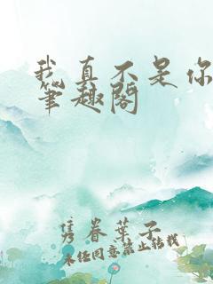 我真不是你相公笔趣阁