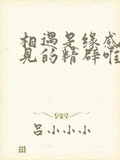 相遇是缘感恩遇见的精辟唯美短句