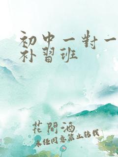 初中一对一辅导补习班