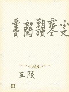 爱如朝露小说免费阅读全文