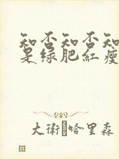 知否知否知否应是绿肥红瘦原著叫什么