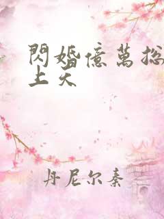 闪婚亿万总裁宠上天