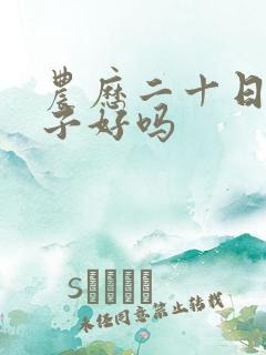 农历二十日的日子好吗