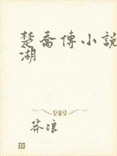 楚乔传小说 冰湖