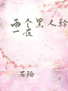 两个黑人干了我一夜